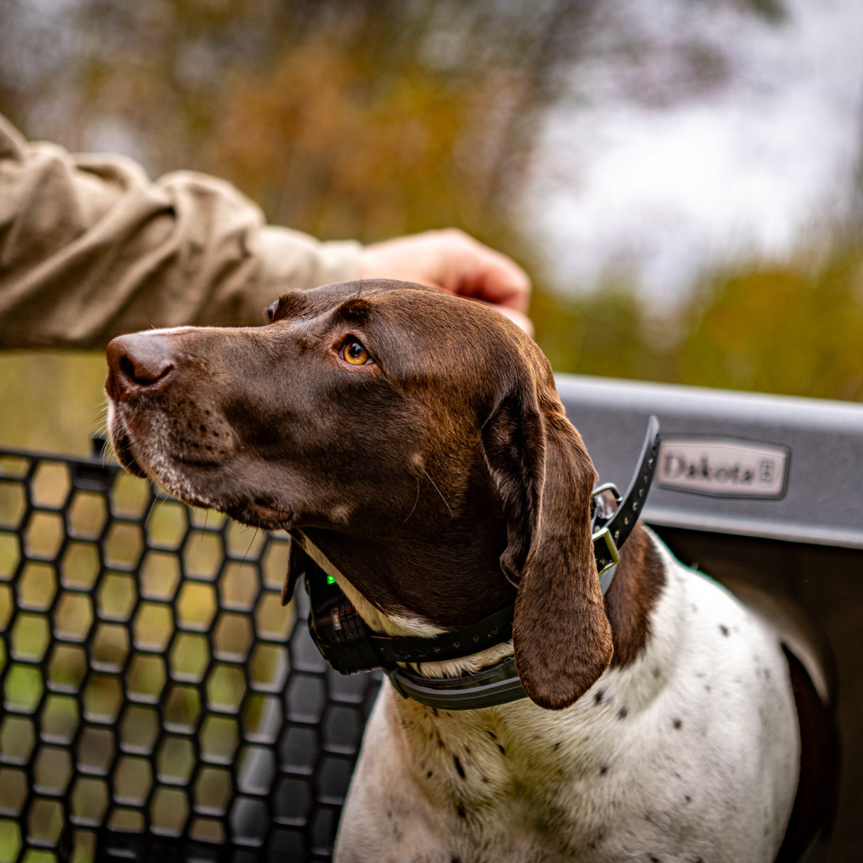 dakota-283-crate-kennel-hunting-working-dog-outdoors