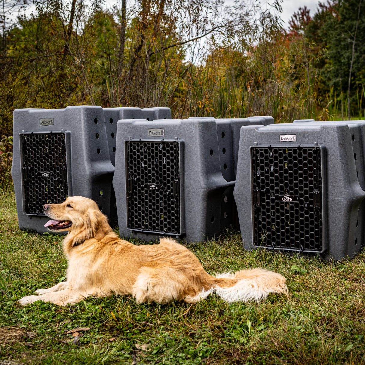 dakota-283-crate-kennel-hunting-working-dog-lifestyle