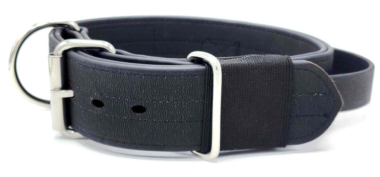 Canine Athletes AP-Sport Waterproof Dog Collar with Control Handle