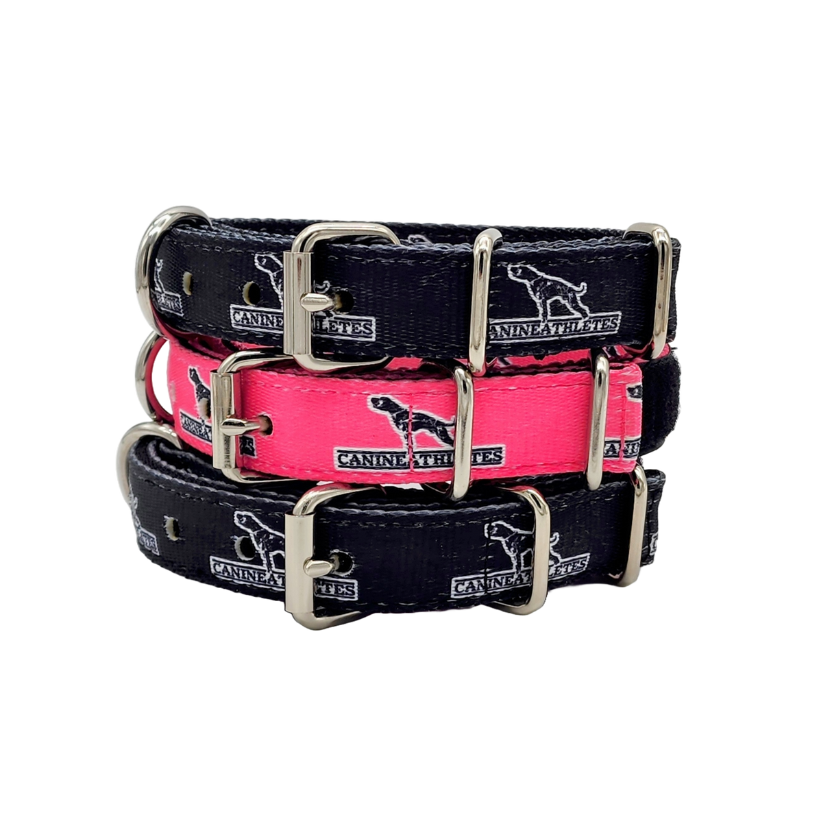 canine-athletes-puppy-collar-bundle