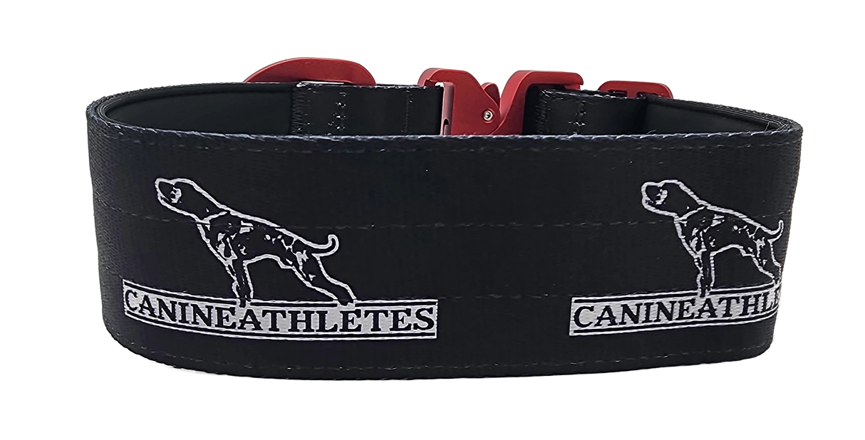 canine-athletes-sport-hd-v2-quick-release-dog-collar-black-red-3