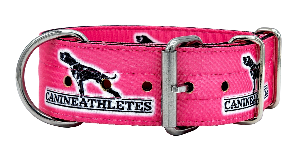 canine-athletes-2"-heavy-duty-hot-pink-working-dog-collar-2