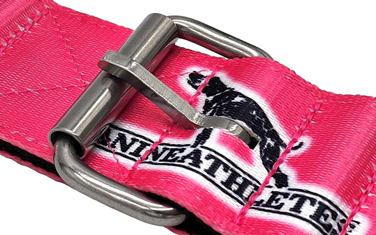 canine-athletes-2"-heavy-duty-hot-pink-working-dog-collar-3