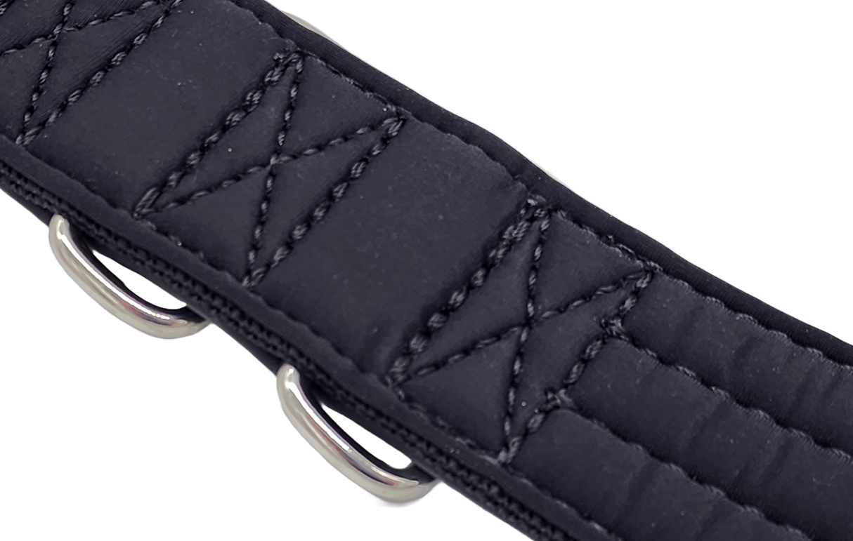 canine-athletes-ap-sport-hybrid-heavy-duty-dog-collar-3