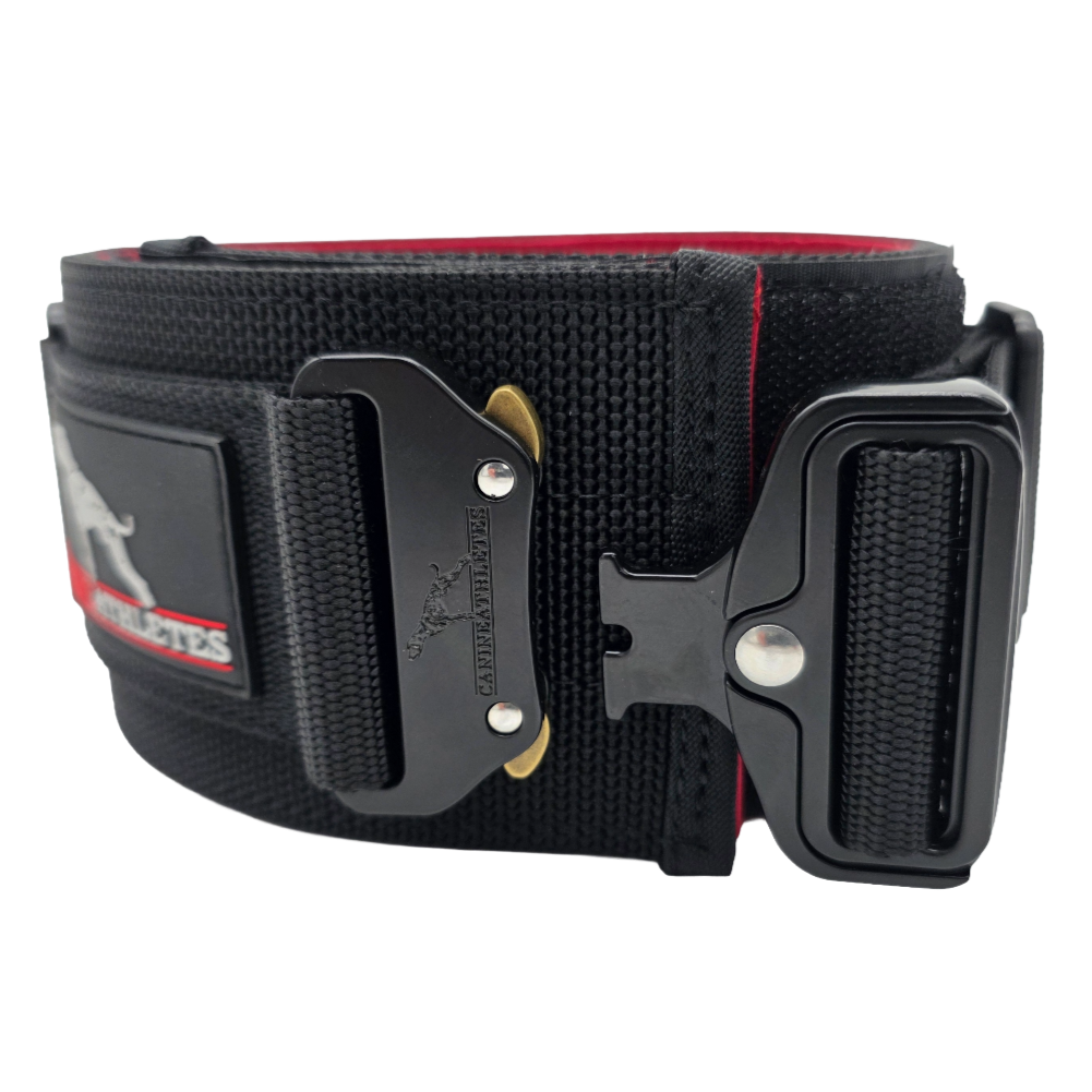 canine athletes 3" wide working dog agitation collar with padding and control handle