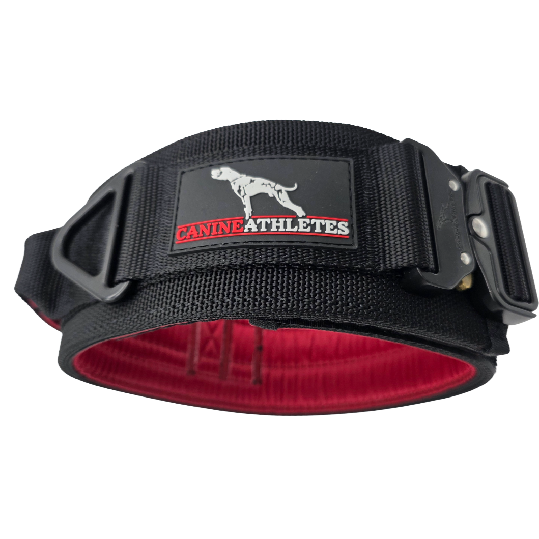 canine athletes venator padded working dog collar with control handle and padding