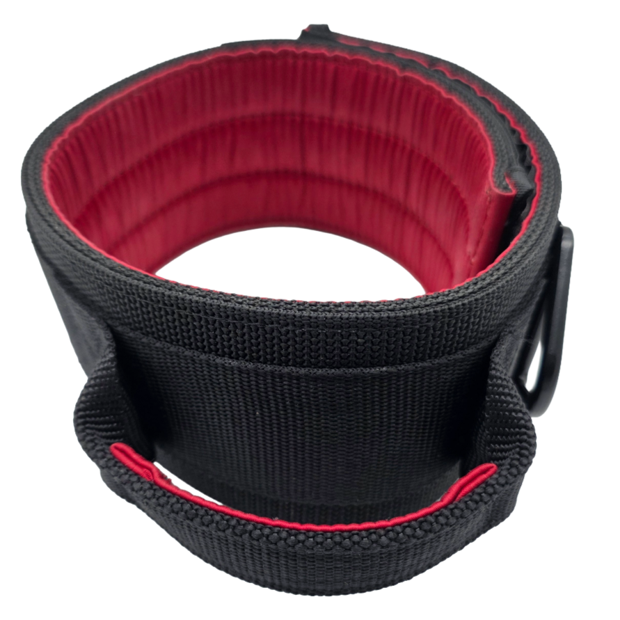 canine athletes 3" wide heavy duty working dog collar with padded agitation control handle