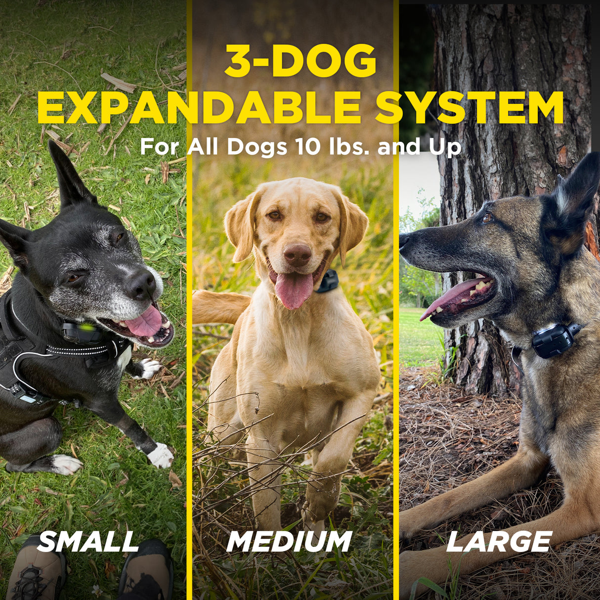 dogtra-280x-waterproof-remote-dog-training-electronic-collar-5