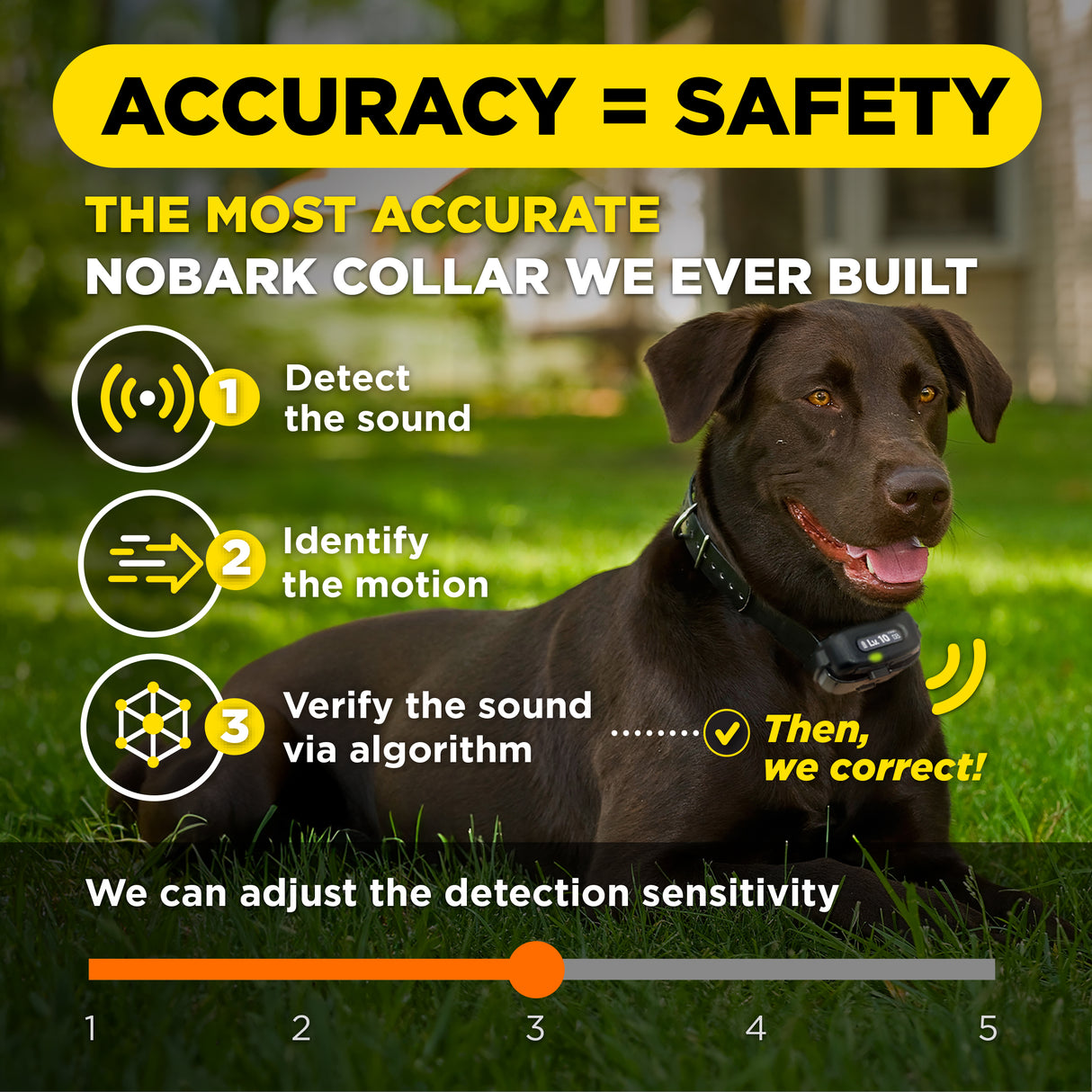 dogtra-smart-no-bark-dog-training-collar-4