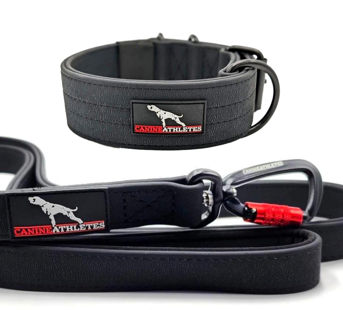 Canine Athletes AP-Sport Dog Collar & Leash Bundle