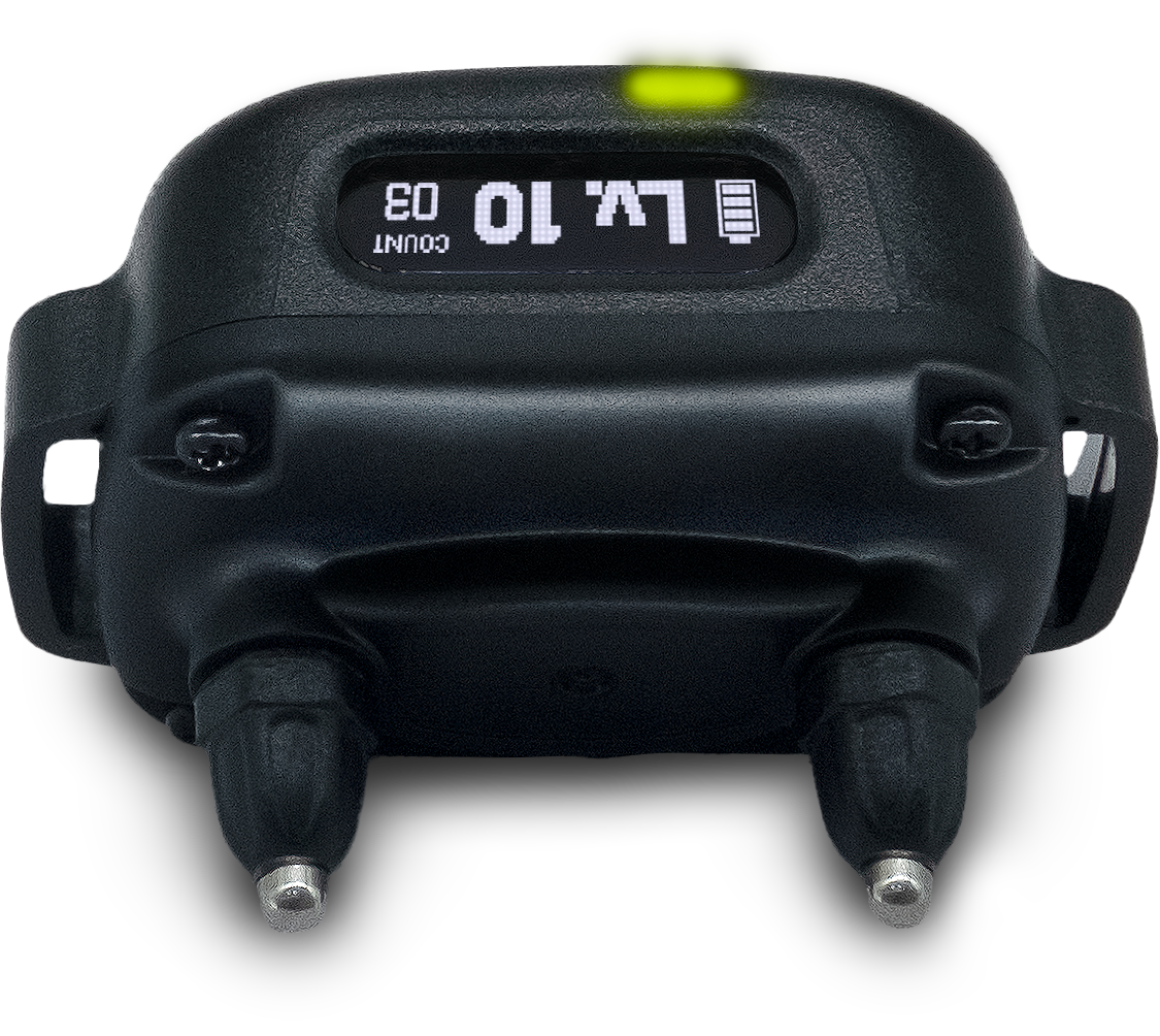 dogtra-smart-no-bark-dog-training-collar-1