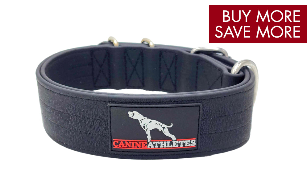 canine-athletes-ap-sport-waterproof-dog-collar-black-buy-more-save-more