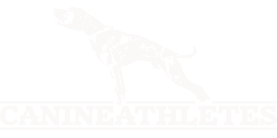 Canine Athletes