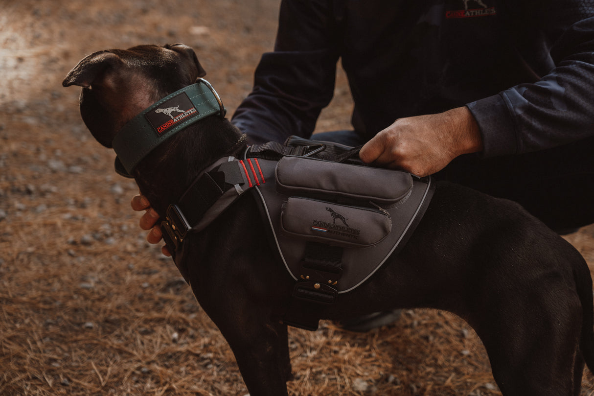 canine-athletes-weighted-dog-harness-vest