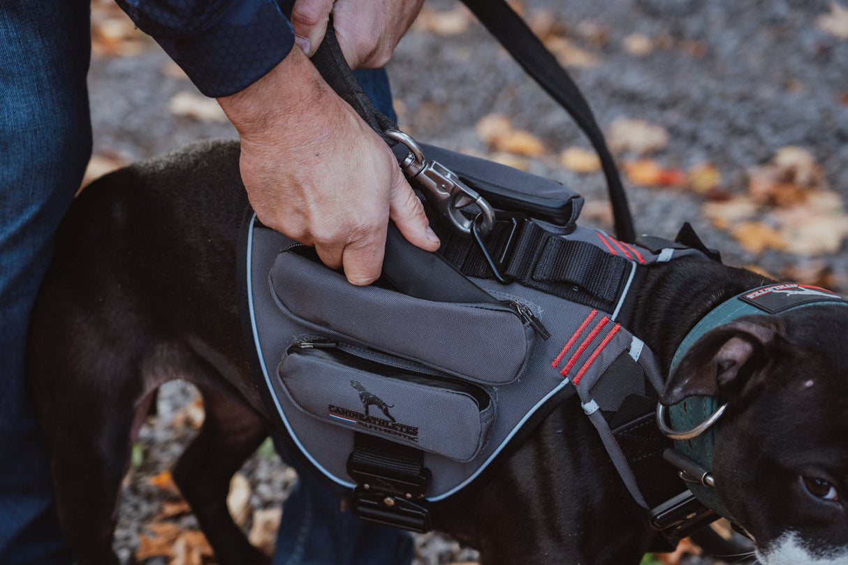 canine-athletes-power-max-hd-weighted-dog-training-harness-closeup
