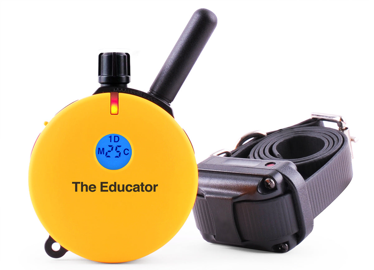 E-Collar Technologies Et-400 Educator Training