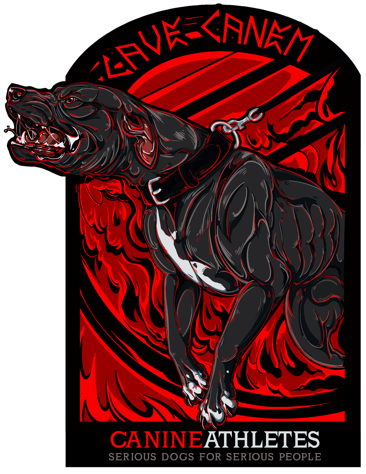 Canine Athletes Cave Canem Beware of Dog Sticker Decal