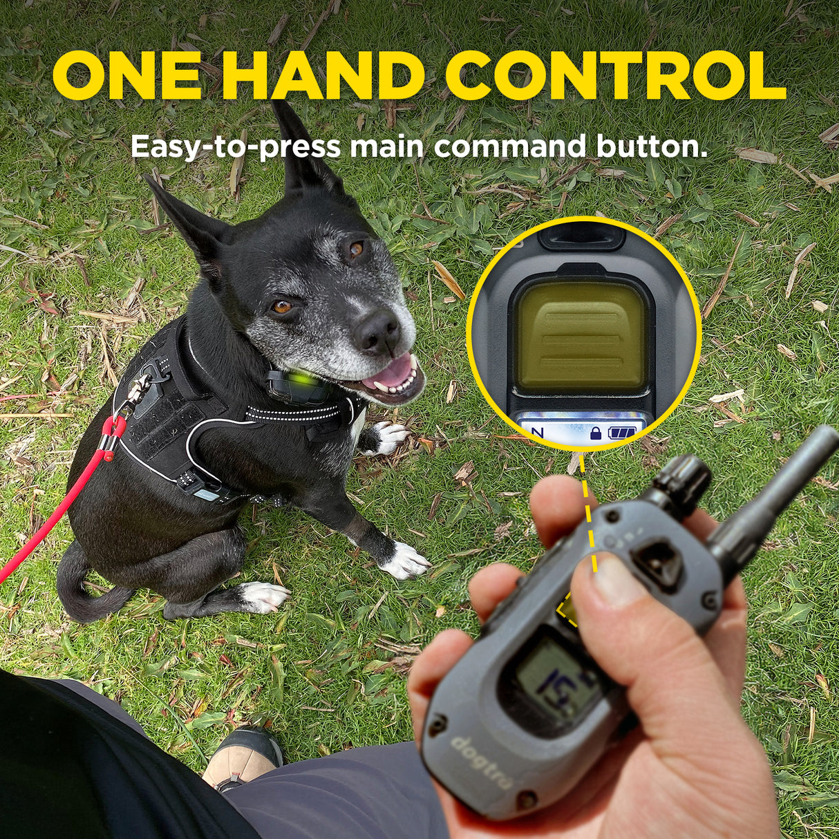 dogtra-280x-waterproof-remote-dog-training-electronic-collar-8