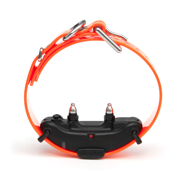 Dogtra ARC Remote Dog Training Collar