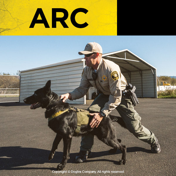 Dogtra ARC Remote Dog Training Collar