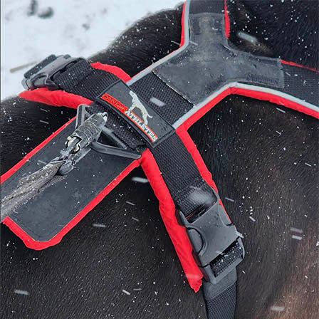 canine-athletes-sport-hd-v3-walking-dog-harness