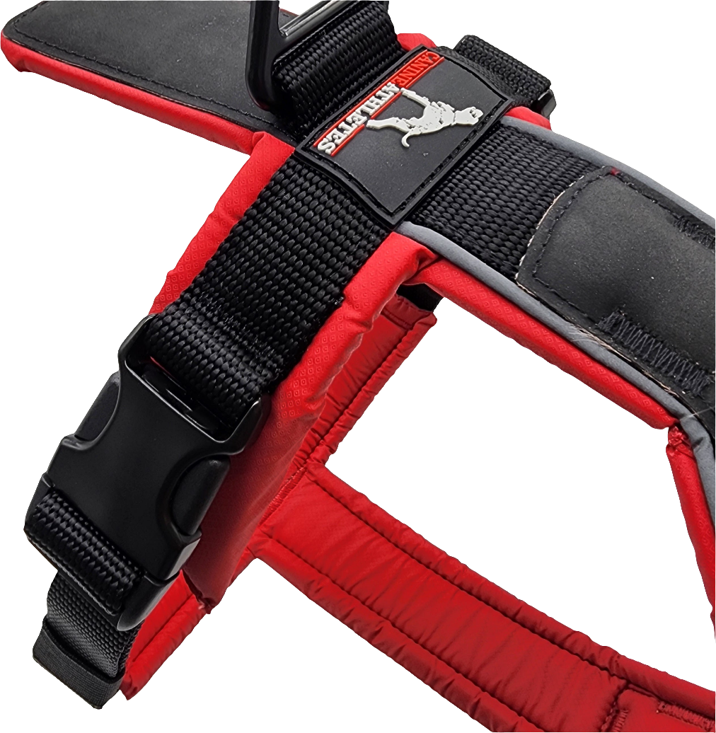 canine-athletes-sport-hd-v2-dog-harness-red-black-2