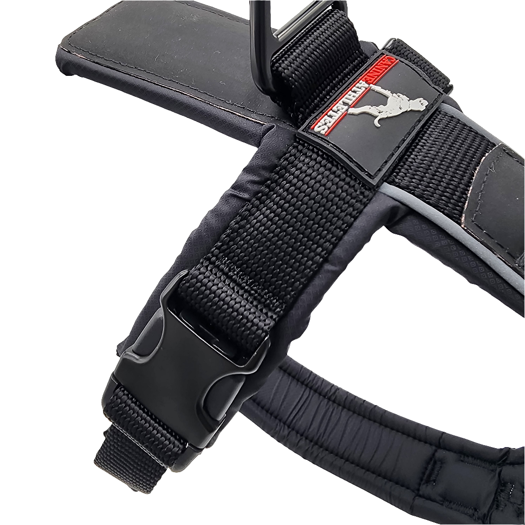 canine-athletes-sport-hd-v2-dog-harness-black-1