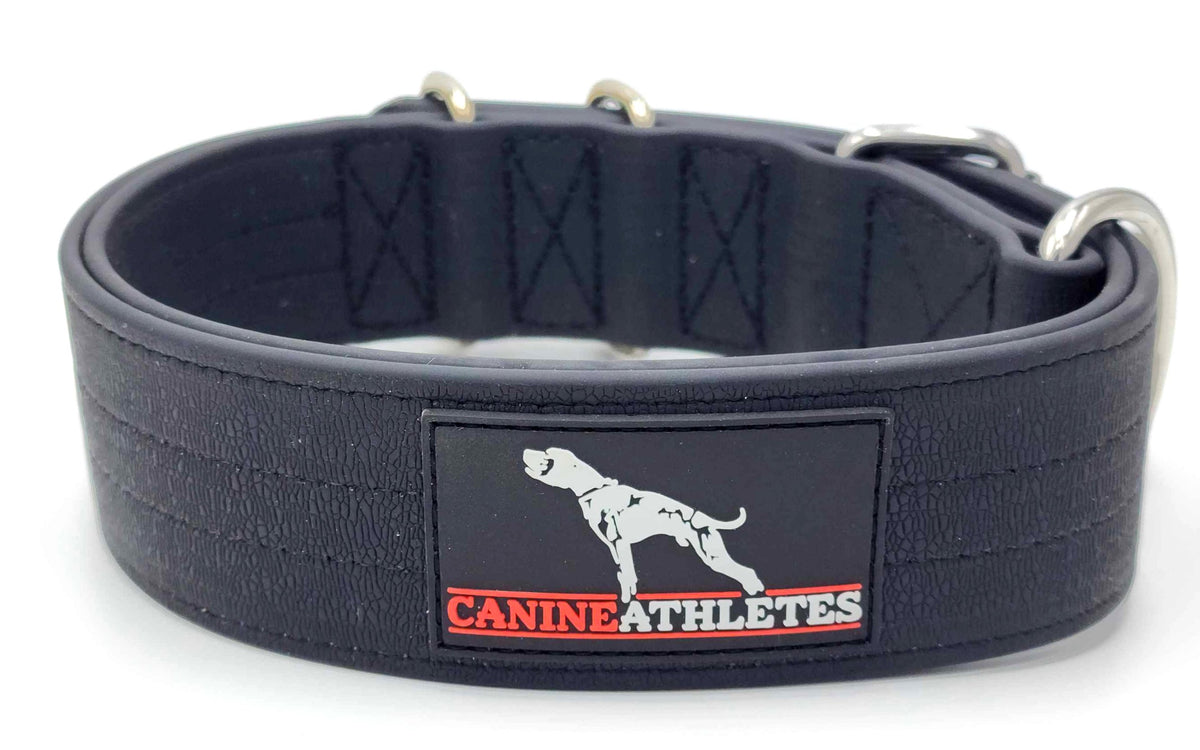 Canine Athletes Waterproof AP-Sport Dog Collar Black