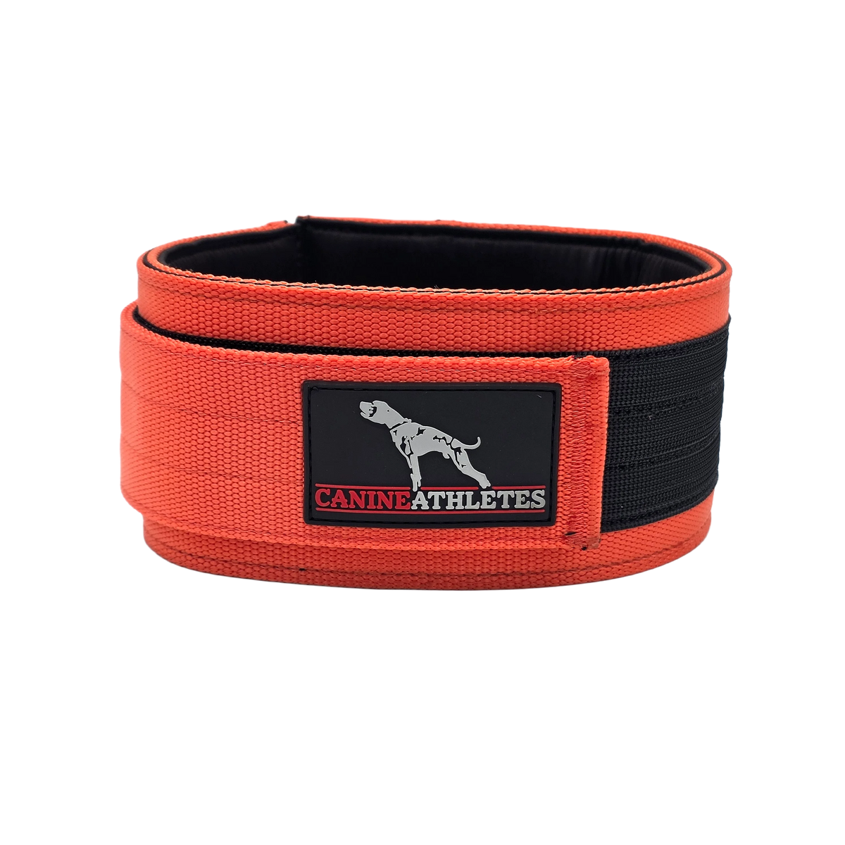 Canine Athletes Elite-HD Weighted Dog Training Exercise Collar Orange