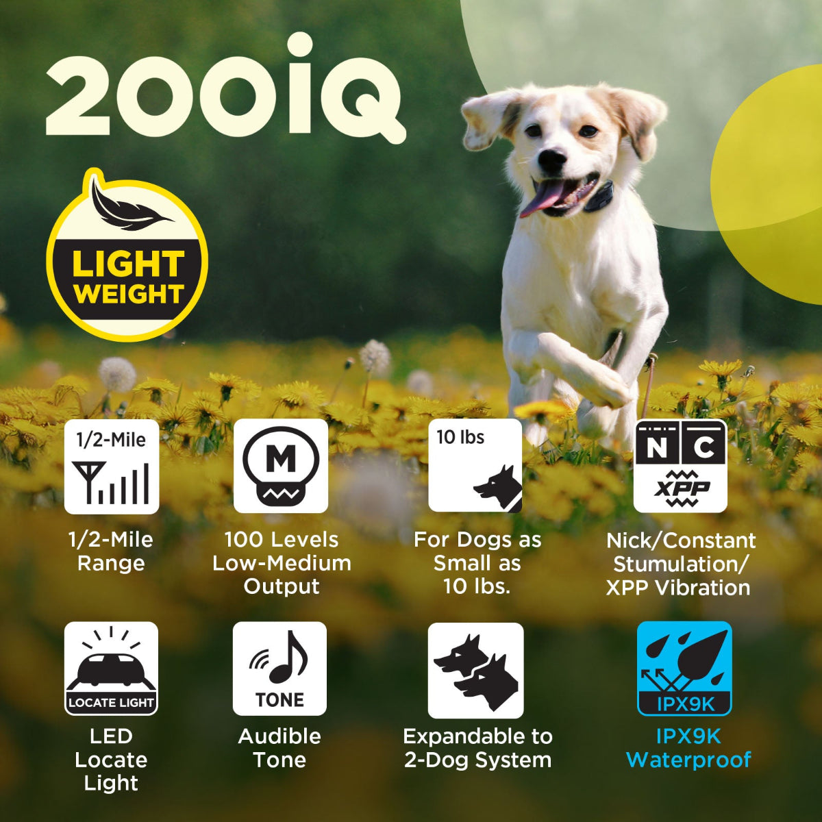 dogtra 200iQ features and benefits training collar