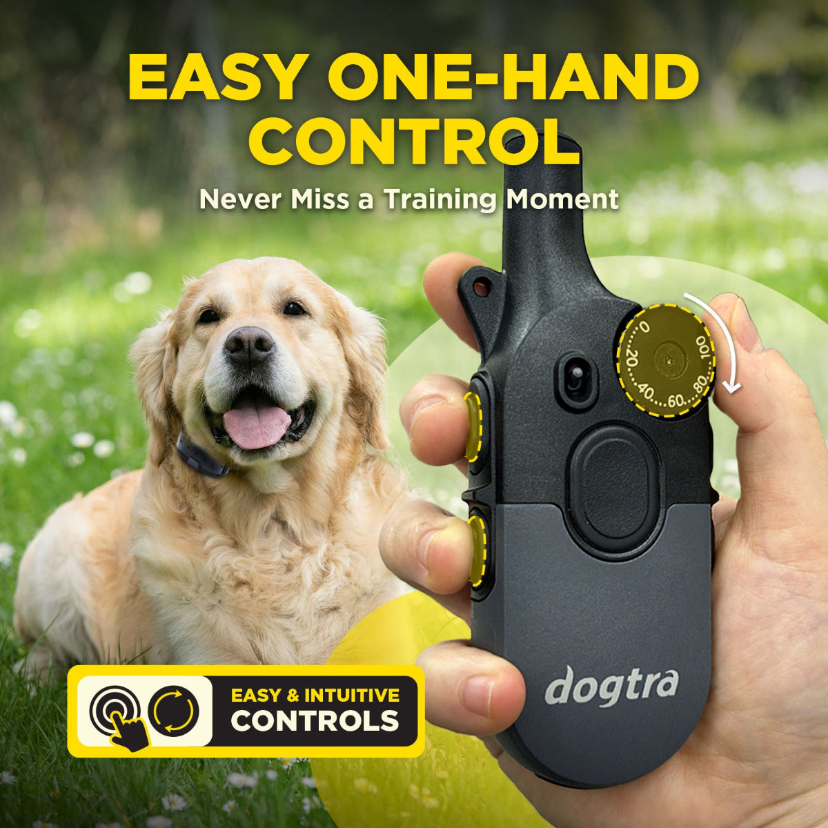 Dogtra 200iQ remote dog training one handed control infographic
