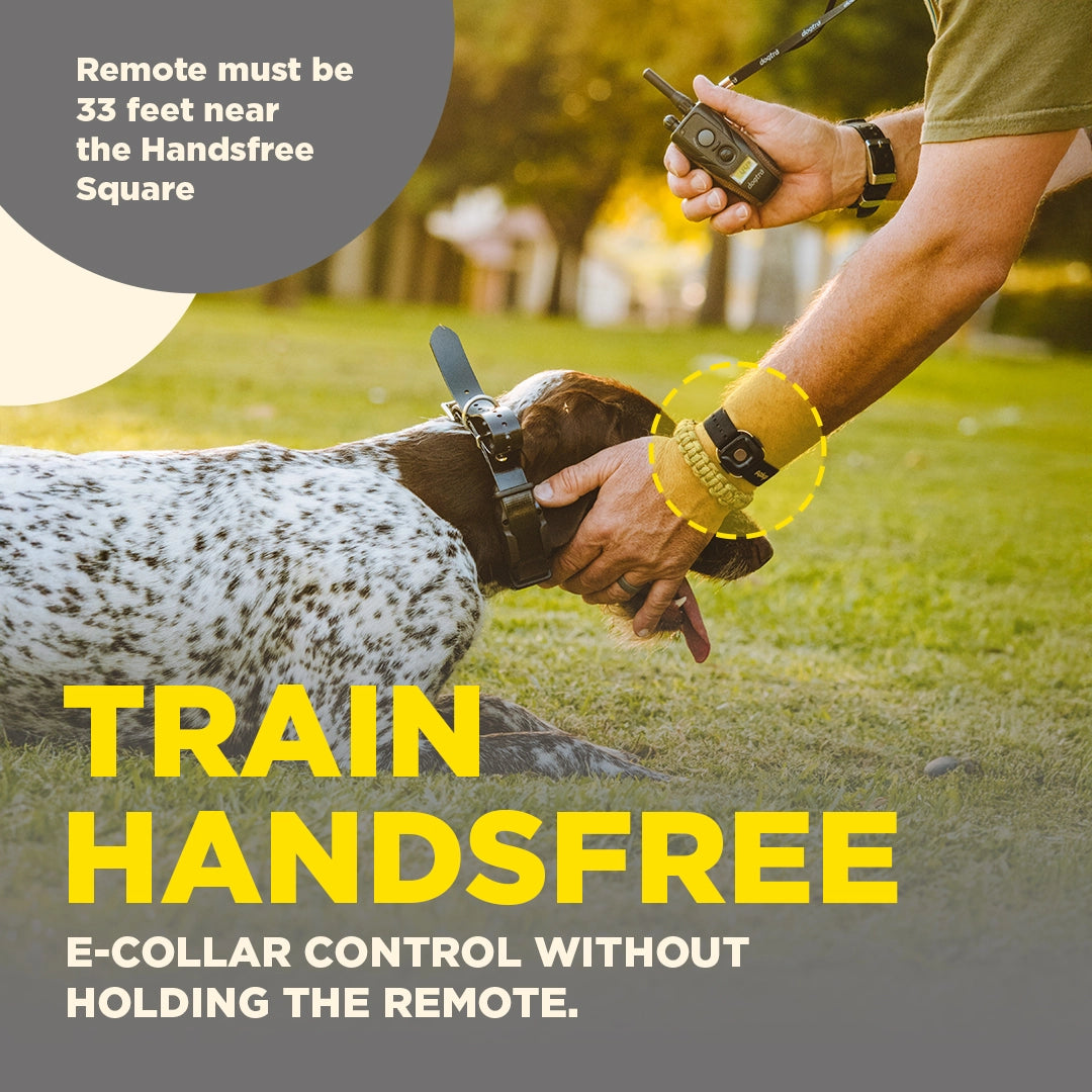 Dogtra Train Handsfree Remote Dog Training Square