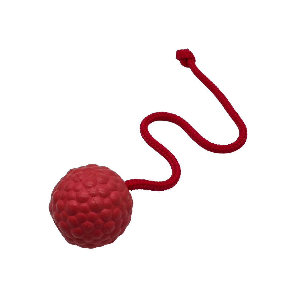 Raddog Ball on Rope Dog Training Reward Bite Tug Toy Red with red rope