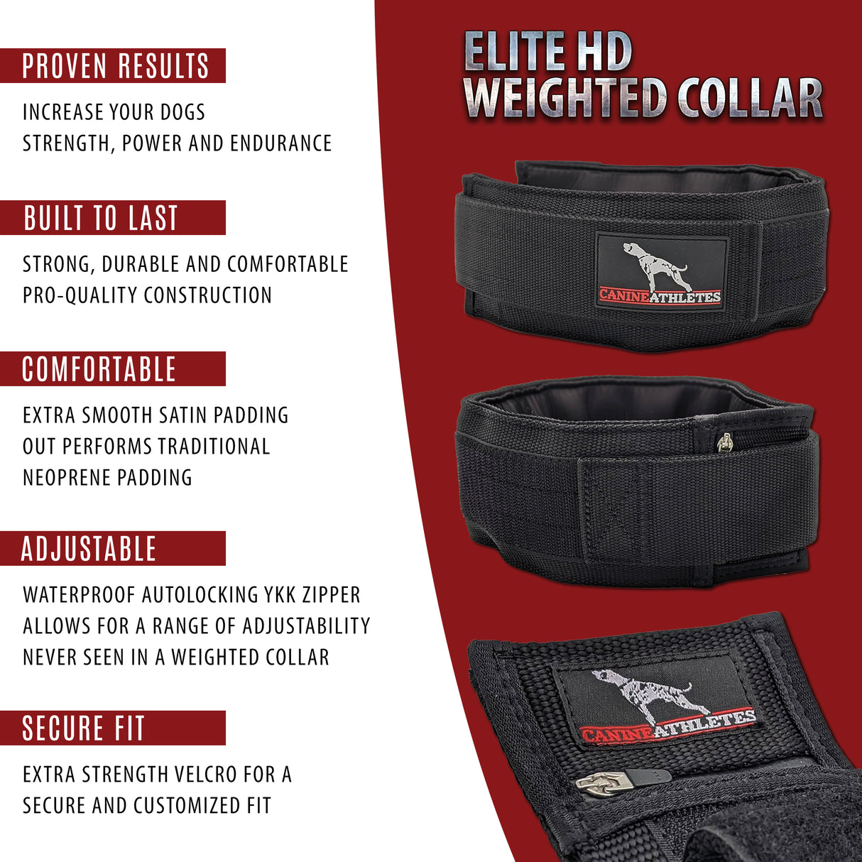 canine-athletes-weighted-collar-features-benefits