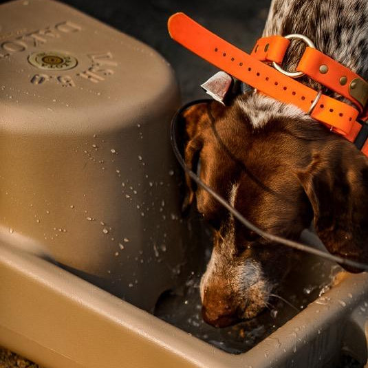 Dakota 283 Dash 5 gallon portable dog bowl watering system