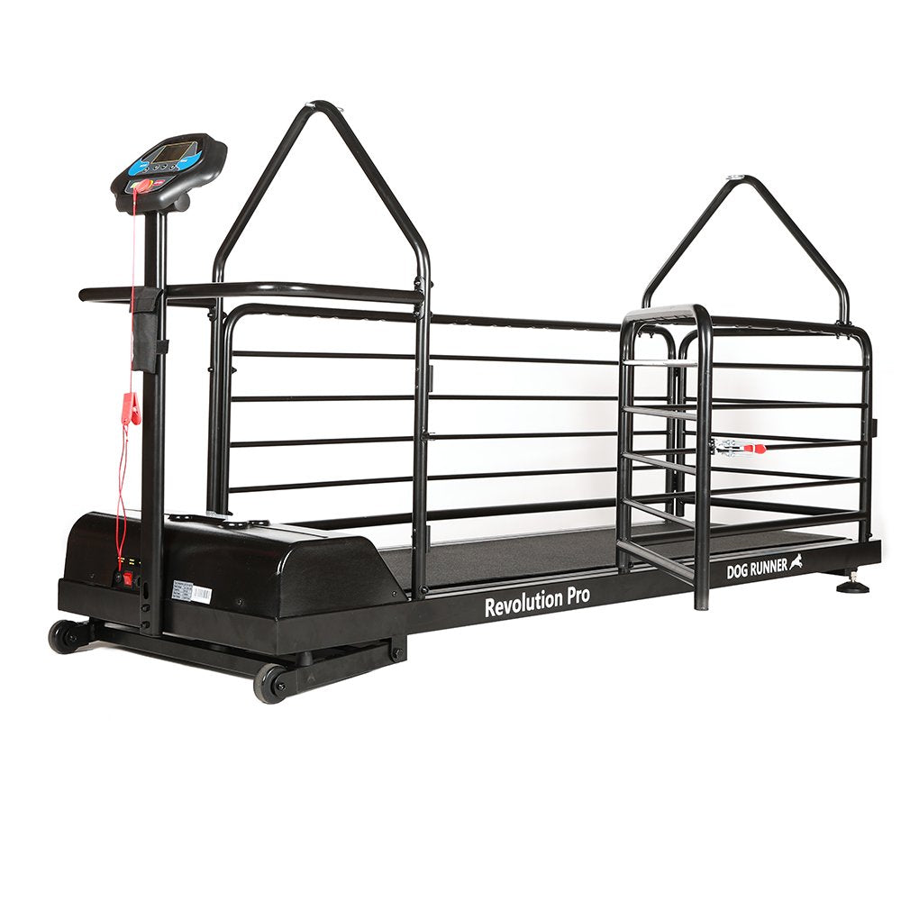 dog runner revolution pro treadmill