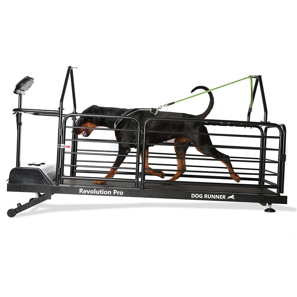 dog runner revolution pro treadmill