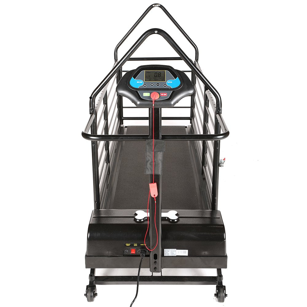 dog runner revolution pro treadmill