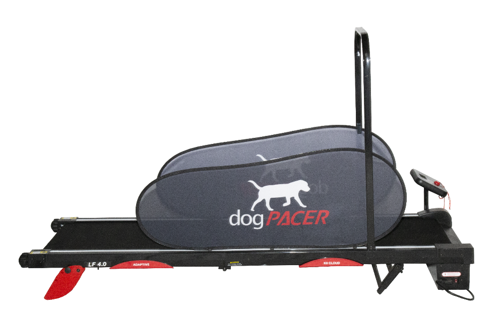 dogPacer 4.0 Electric Dog Exercise Treadmill