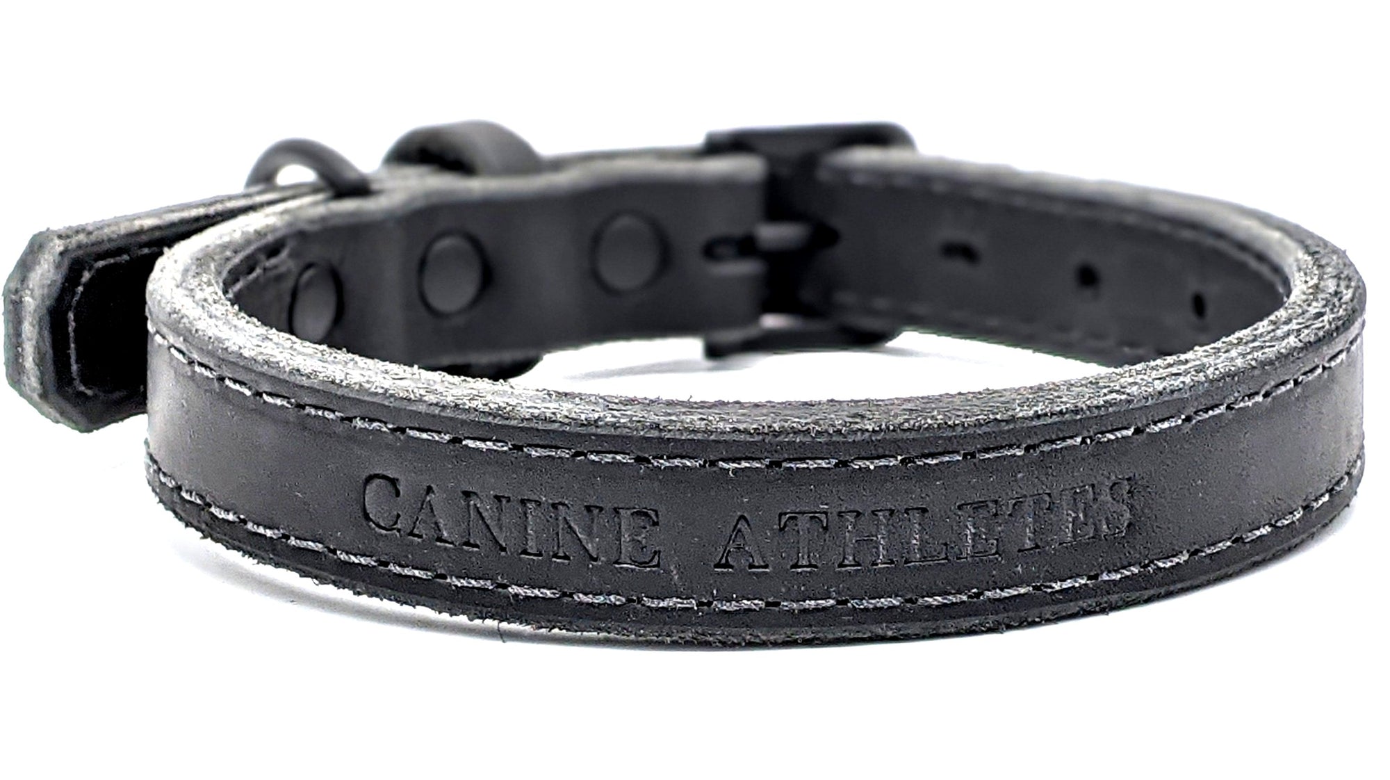 Canine Athletes 1" Leather Dog Collar