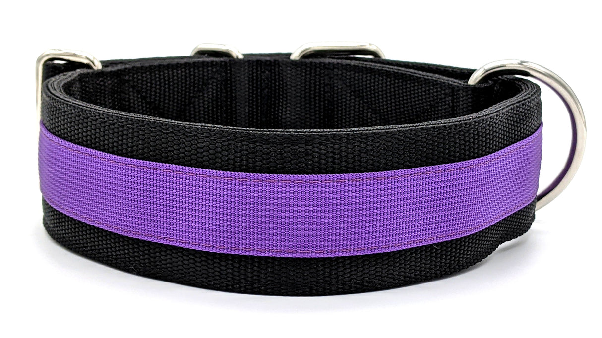 Canine Athletes Pro- HD 2" Dog Collar