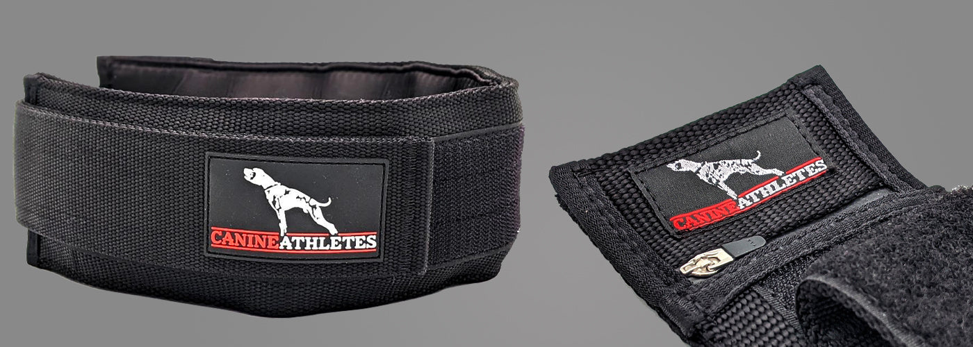 BEHIND THE DESIGN: THE ELITE-HD WEIGHTED COLLAR