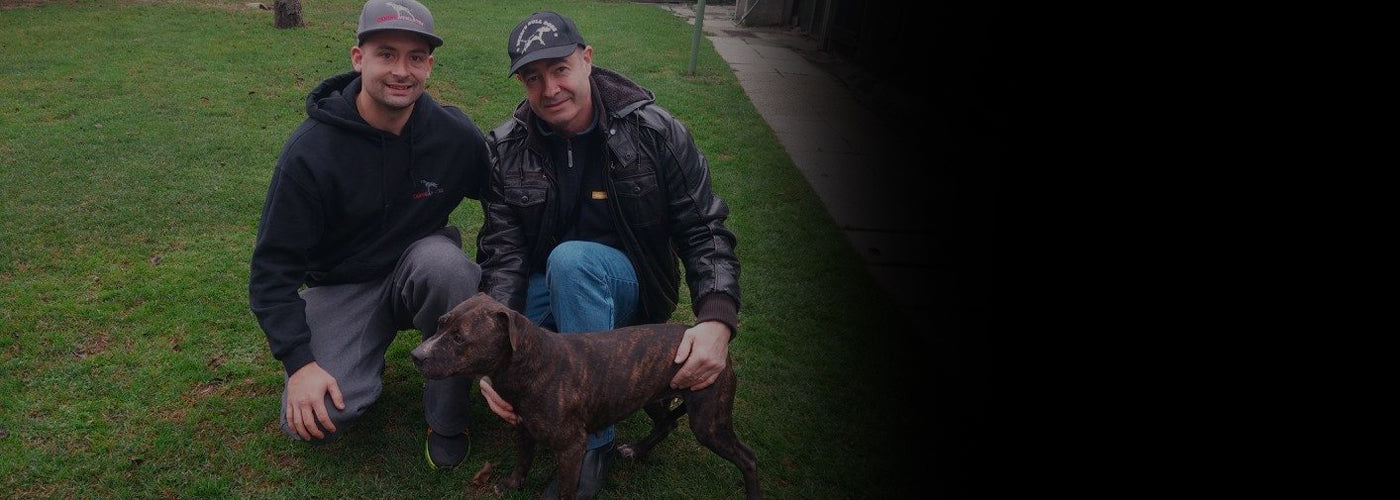 Canine Athletes Aldo and Andy Seguss