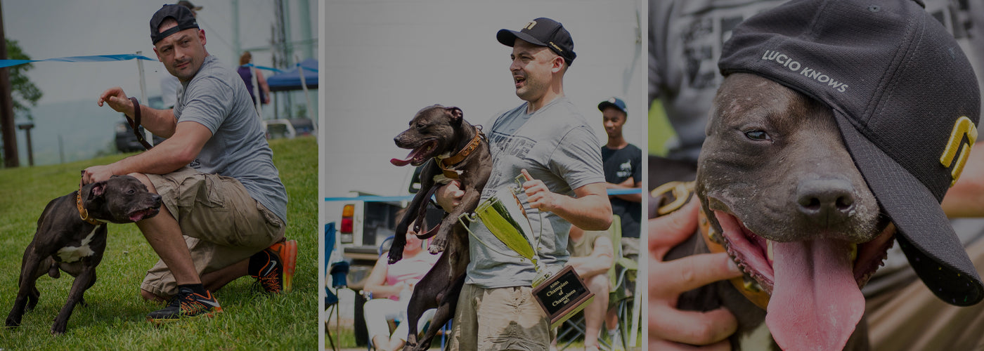 Top 5 reasons customers love Canine Athletes