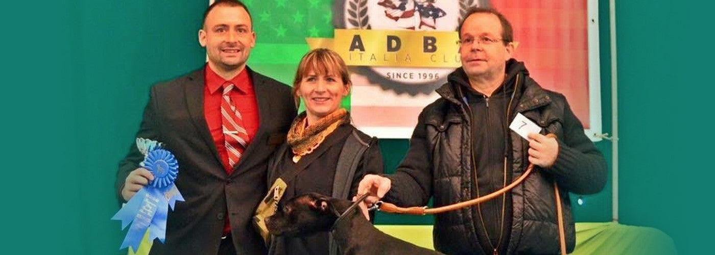 2015 ADBA Club Italia Show