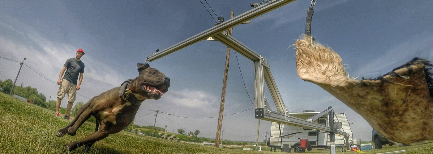 THE TRUE DOG BREEDER