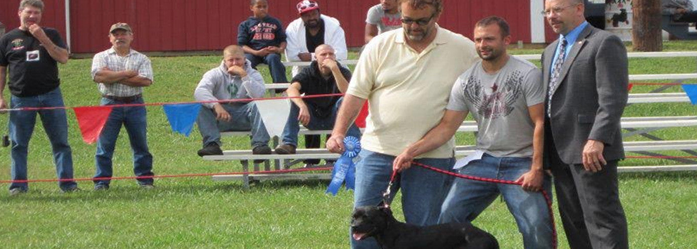 Interview with Hank Greenwood