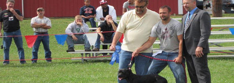 Interview with Hank Greenwood