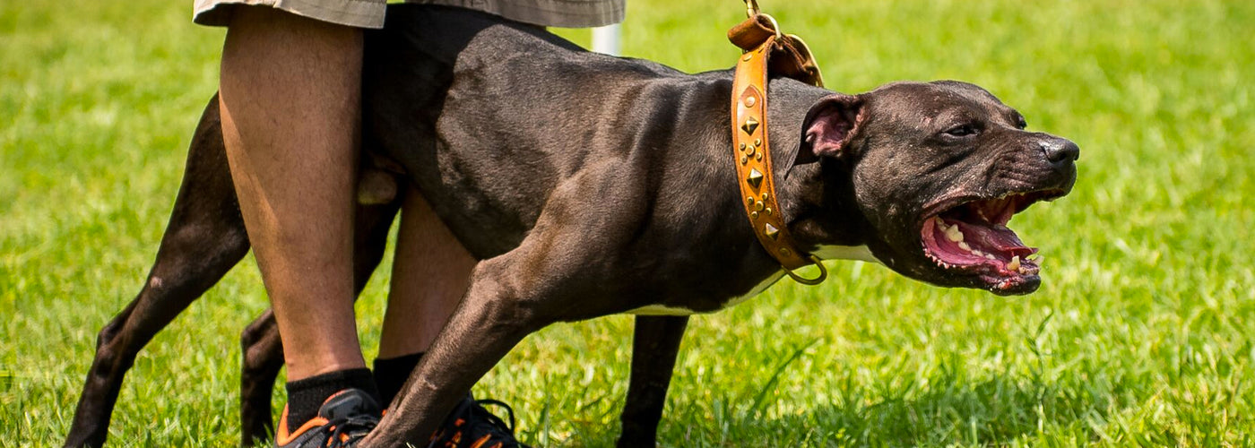 Protecting What’s Real