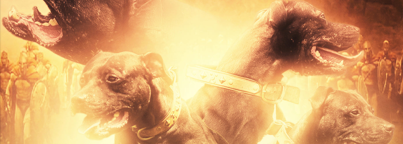 2017 ADBA Top Ranked Champion - G/C X TD Lucio